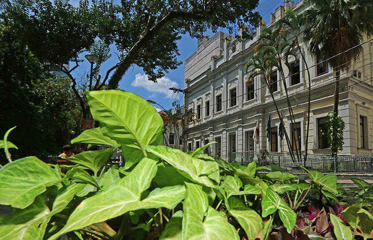 palacio-barbosa-lima-leo-5 palacio-barbosa-lima-leo-5