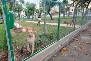 Publicada lei que regulamenta uso dos parcães em Juiz de Fora 2 parcão capa