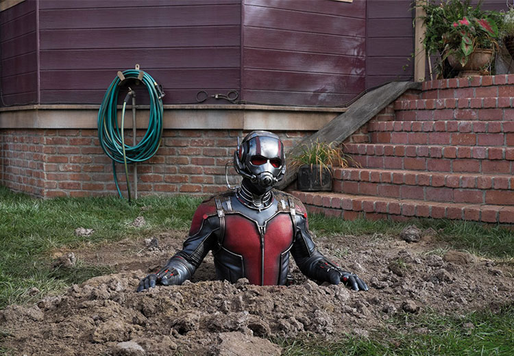 Tudo sobre 'Vingadores - Guerra infinita', o maior filme da Marvel 19 Homem Formiga