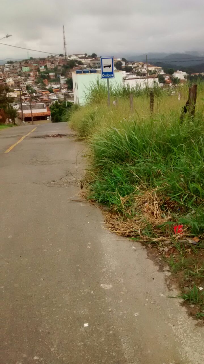 Mato alto toma ruas do Nossa Senhora de Fátima 1 VU N Sra de Fátima