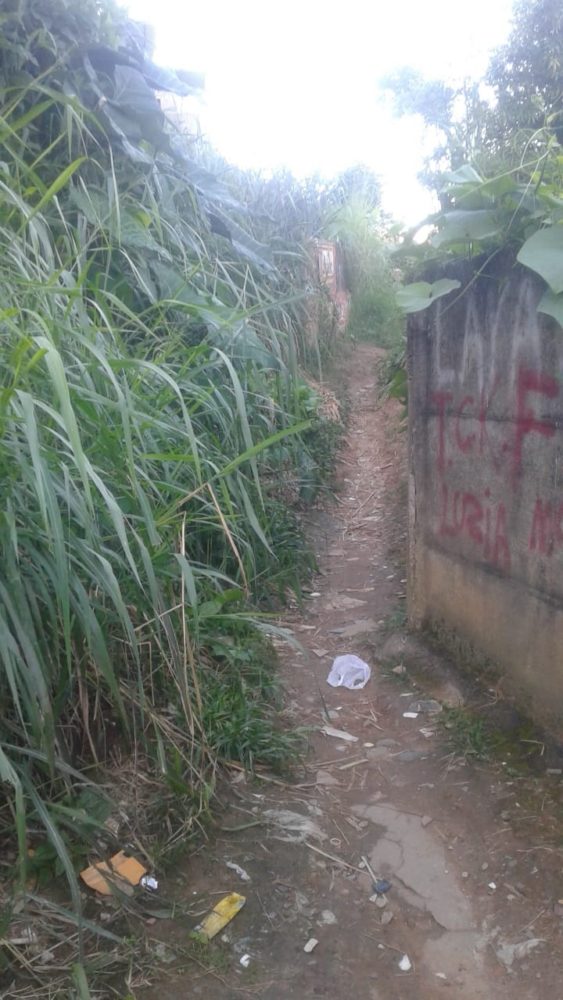 Mato alto atrai ratos e animais peçonhentos no Santa Luzia 1 VU Santa Luzia2