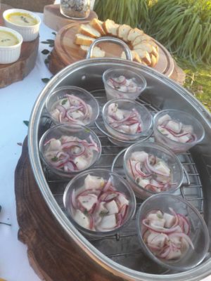 ceviche-tilápia-uaná-etê-credito-julia-pessoa ceviche-tilápia-uaná-etê-credito-julia-pessoa