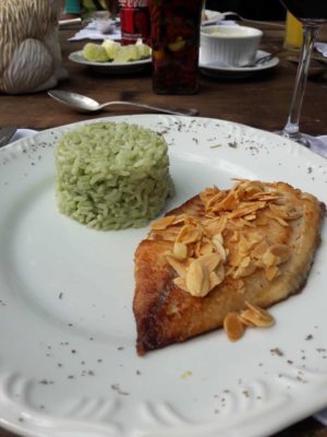 saint-peter-com-arroz-verde-fazenda-união-credito-julia-pessoa saint-peter-com-arroz-verde-fazenda-união-credito-julia-pessoa