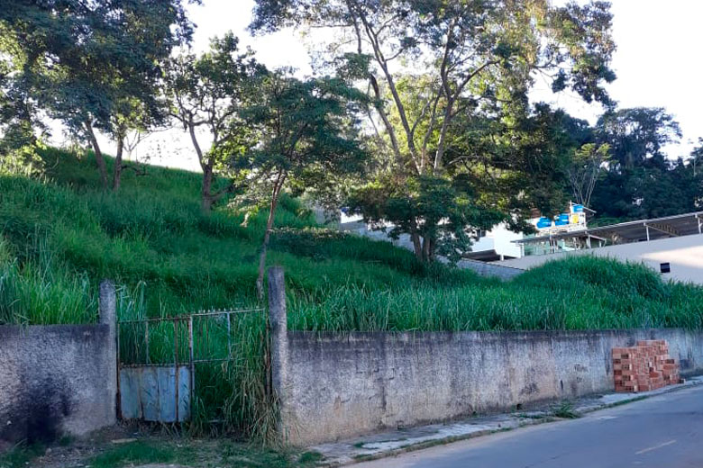 Lote com mato alto atrai cobras no Jardim Esperança 1 vu jardim esperança