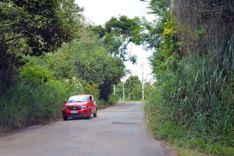 Mato atrapalha visibilidade de motoristas no São Pedro 1 vu são pedro