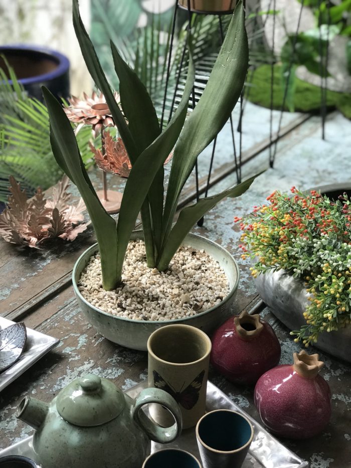 Plantas naturais: o verde contemporâneo para ambientes internos 8 22ACEAE8 73AD 45CC BDCF 14BEF2EB249B