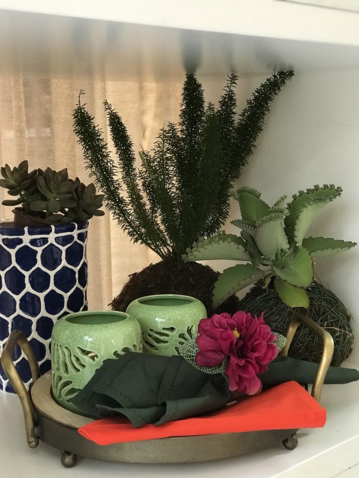 Plantas naturais: o verde contemporâneo para ambientes internos 7 F7E50C1A EE8C 4462 B405 2BE017FB2F92