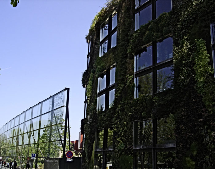 Parede Verde Musee do Quai Branly Musee do Quai Branly