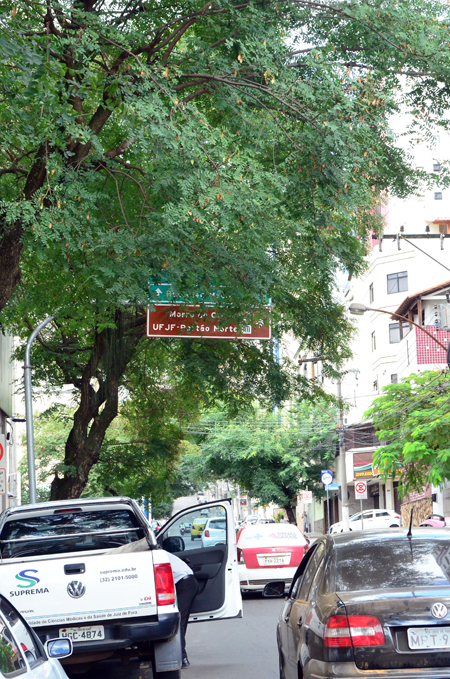 Galhos escondem placa de trânsito 1 vu1