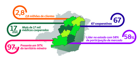 Hospital Unimed fortalece a Zona da Mata 16 Infográfico Minas Gerais 1