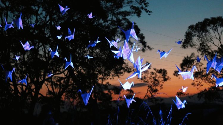 Jardim Ecológico Uaná Etê, em Vassouras, é otima pedida para o feriado 5 LUZ Foto5 GabiCastro preview e1528826181640