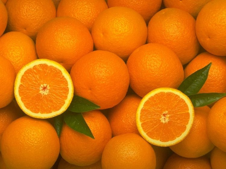 Donos de animais de estimação devem ter cuidados especiais durante pandemia 7 Laranja Benefícios e1529611611494