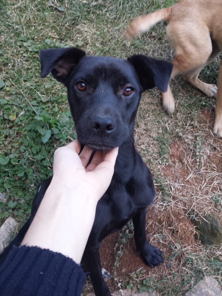 Luquinha Luquinha