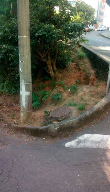 Mato alto e falta de capina impedem passagem no Granbery 1 Sem Título 1