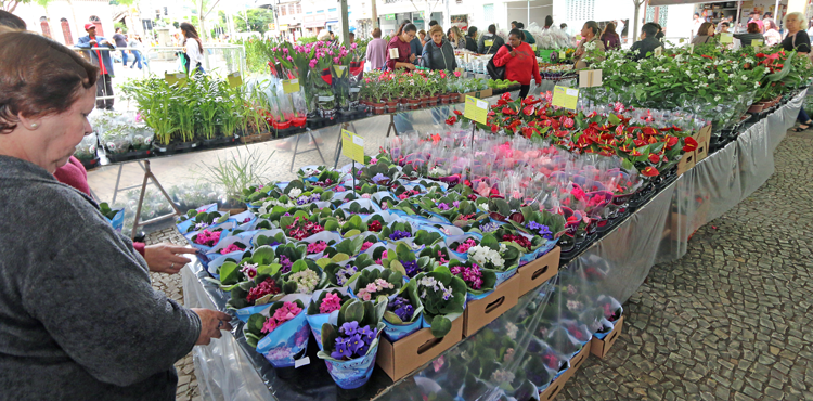 Feira de Holambra recebe mais de três mil pessoas no primeiro dia 1 feira felipe