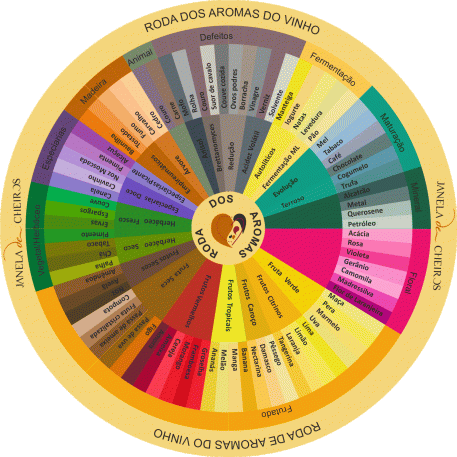 roda dos aromas