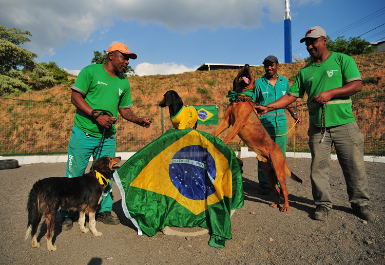 adoção capa