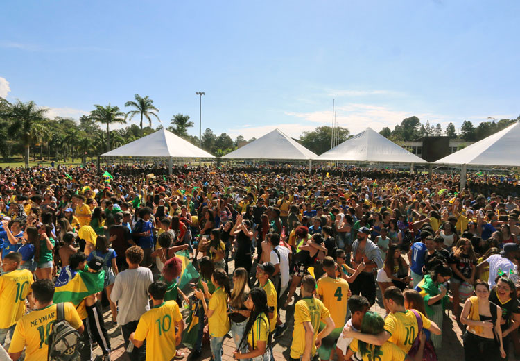 brasil felipe