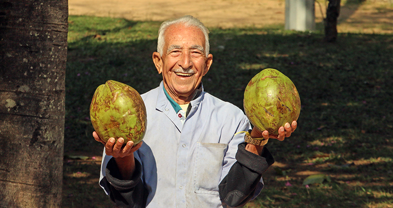 Das laranjas à água de coco: o popular senhor Braz 1 braz01