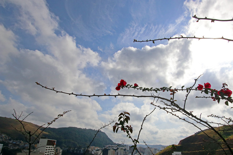 Semana começa com céu parcialmente nublado em JF e região 1 leo tempo