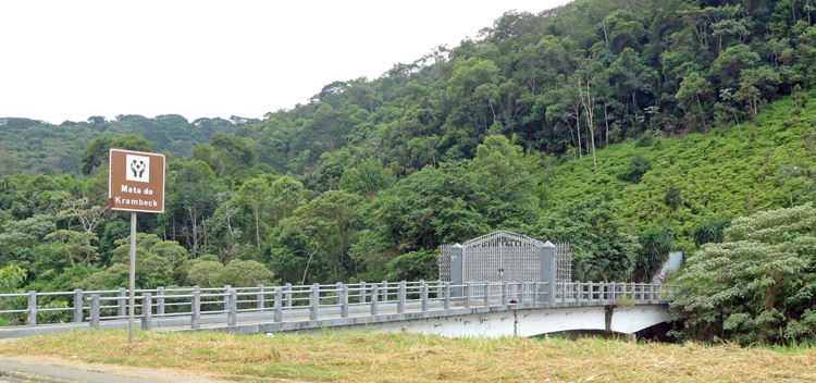 Termina consulta pública sobre criação de parque em JF 1 mata interna