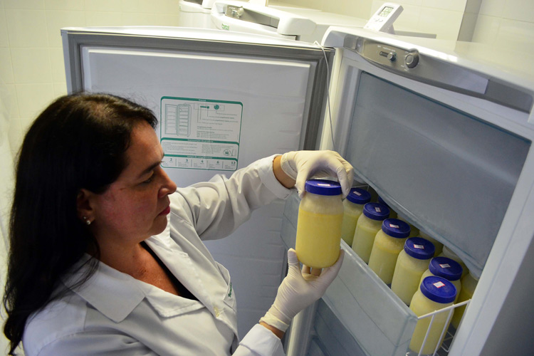 Banco de Leite Humano promove curso para gestantes 2 banco de leite by olavo prazeres