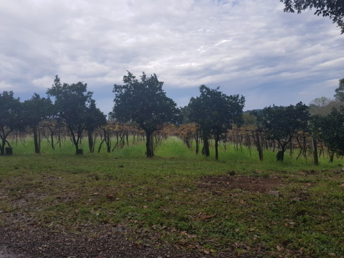 Don Giovanni: vinícola, pousada e restaurante a 13km de Bento Gonçalves-RS 34 20180610 105511 1 768x576
