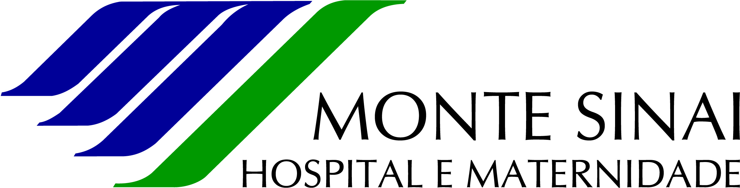 LOGOTIPO HMS