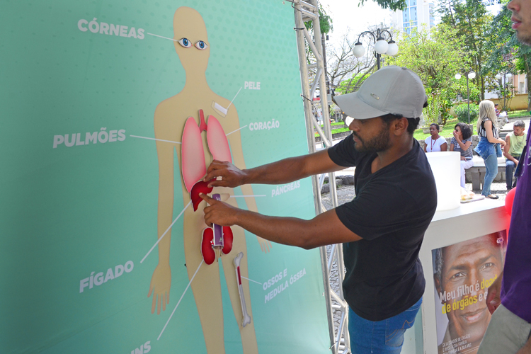 Santa Casa promove jogo que mostra órgãos que podem ser doados 1 doação orgaos olavo