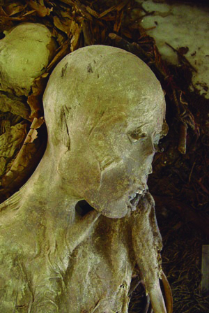 Múmias encontradas em Goianá estavam em acervo do Museu Nacional 1 mumia fazenda
