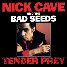 20 apresentar 20 discos de 1988 - Parte 4 9 nick cave