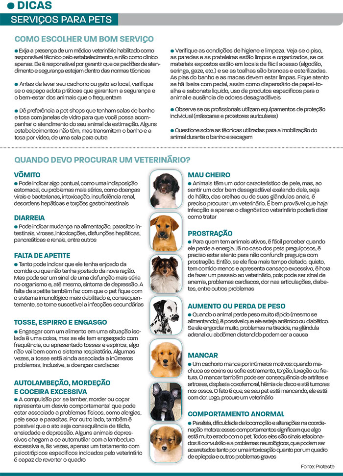 Dicas para escolher um pet shop seguro 1 pets1