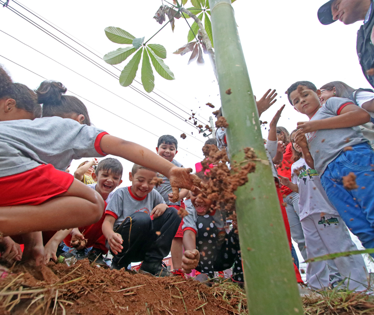 Alunos plantam mudas às margens do Rio Paraibuna 1 plantio árvore foto Leonardo Costa