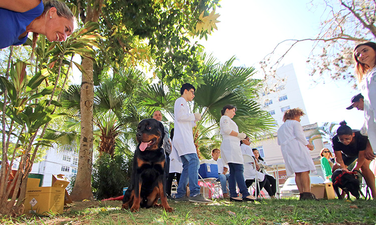 Cães e gatos recebem vacinação antirrábica em JF 1 vacinacao by leo costa
