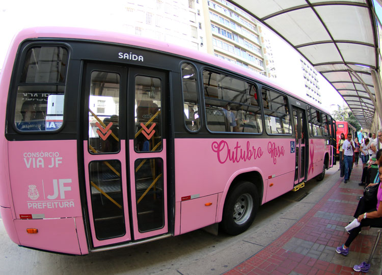 onibus rosa by fernando
