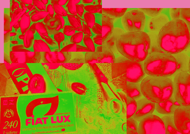 Restaurante Universitário recebe a mostra 'Tomate' 1 tomate A Batalha Real Raizza Prudêncio