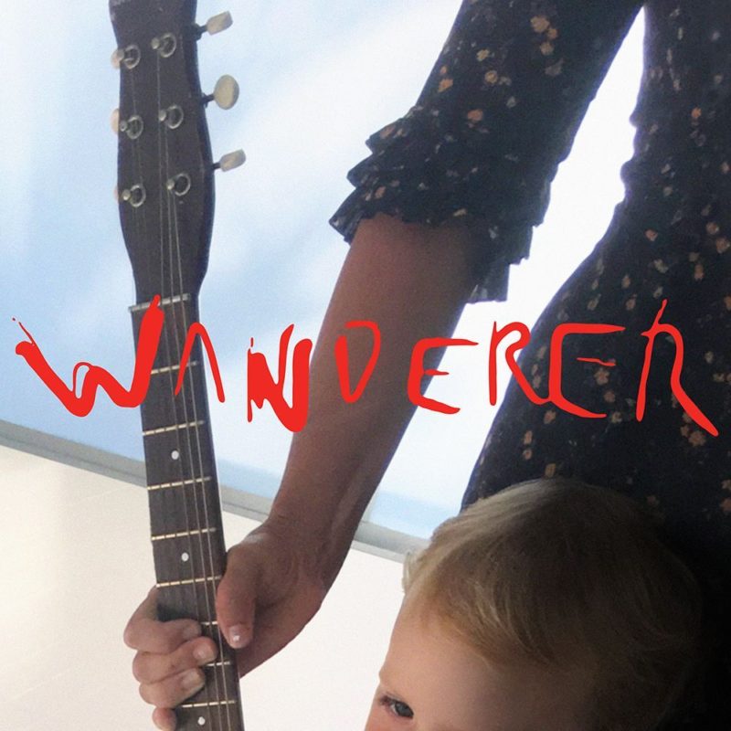 cat power wanderer e1543338855844
