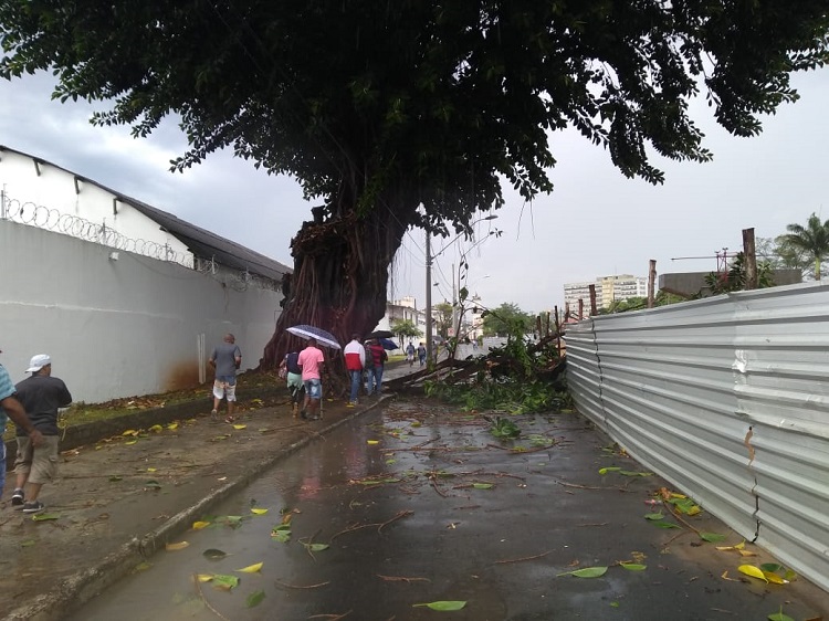 chuva-fabio-reoli-10
