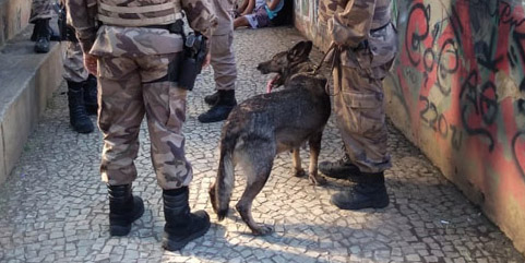 Cadela da PM localiza drogas na praça de São Mateus 2 drogas praça capa