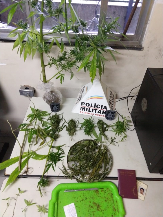 maconha do português 2 foto PM