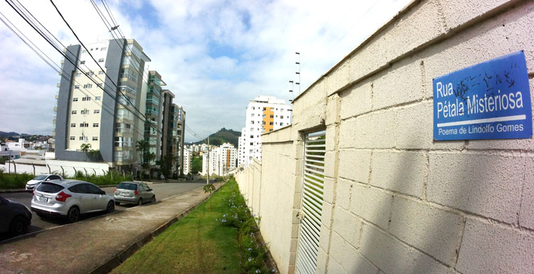 Rua-Pétala-Misteriosa