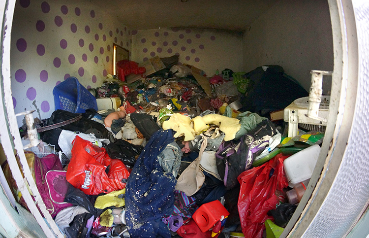 Ação conjunta é montada para limpeza de casa de acumuladora 1 acumula olavo prazeres2