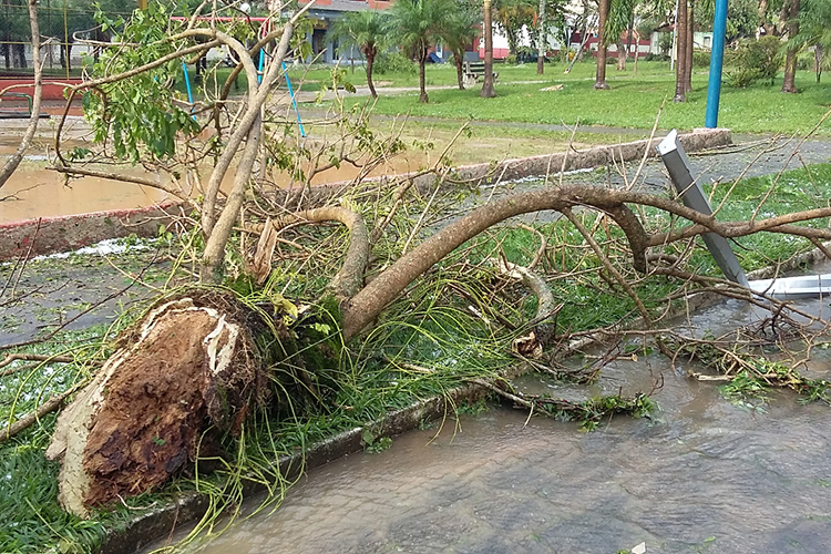 Temporal atinge Simão Pereira e deixa 15 famílias desabrigadas 5 chuva simao4