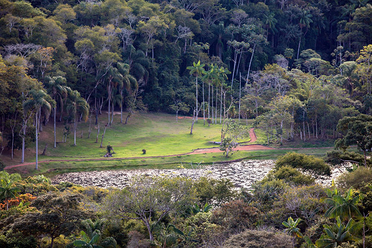 jardim botanico by fernando
