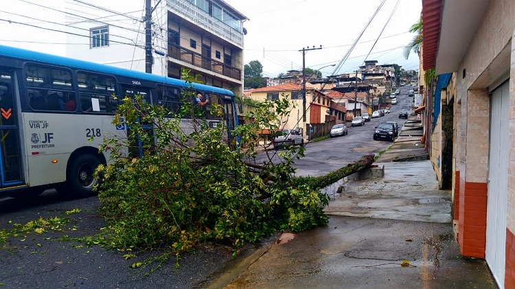 Chuva forte e granizo marcam o início do verão em Juiz de Fora 4 rua severino belfort by renato salles