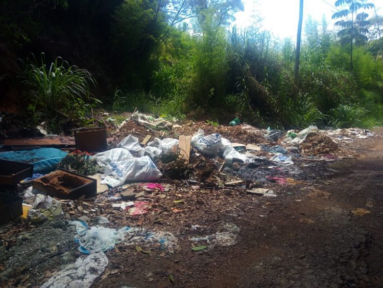 Estrada é fechada e vira depósito irregular de lixo na Zona Sul 1 VU 08 01 LIXO NA ESTRADA e1546982197568