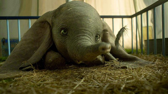 36 filmes para conferir em 2019 8 dumbo