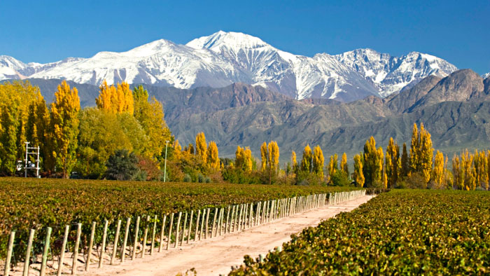 Viagens em grupo: agência oferece pacotes para turistas que não gostam de viajar sozinhos 4 mendoza