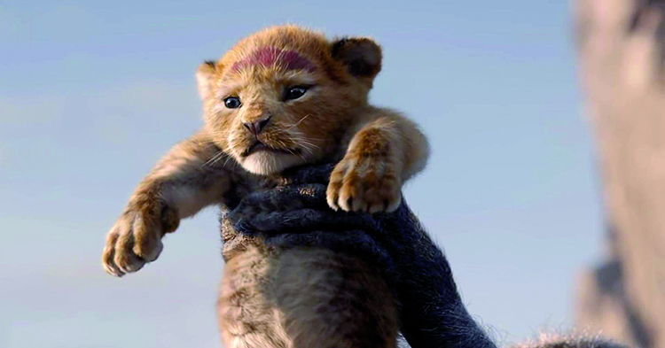 36 filmes para conferir em 2019 22 o rei leão 2019