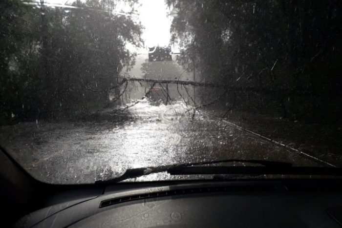 Juiz de Fora volta a registrar chuva após nove dias 2 queda arvore marcelo matta